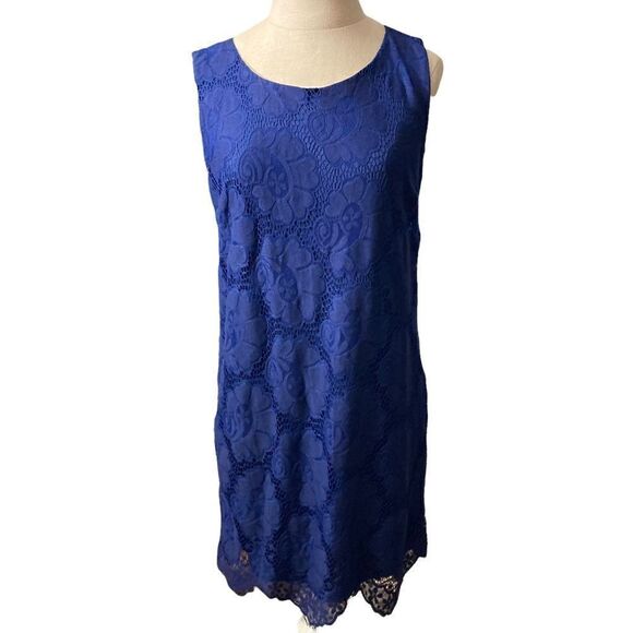 Buttons Blue Lace Overlay Dress / SZ: S - Picture 1 of 9